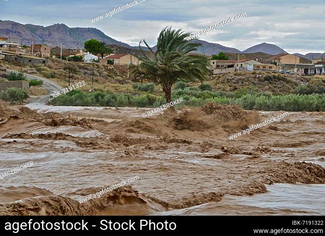 Flood disaster after storm 2012, river, force of nature, Grima, Andalusia, Spain, Europe