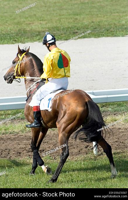Horse jockey