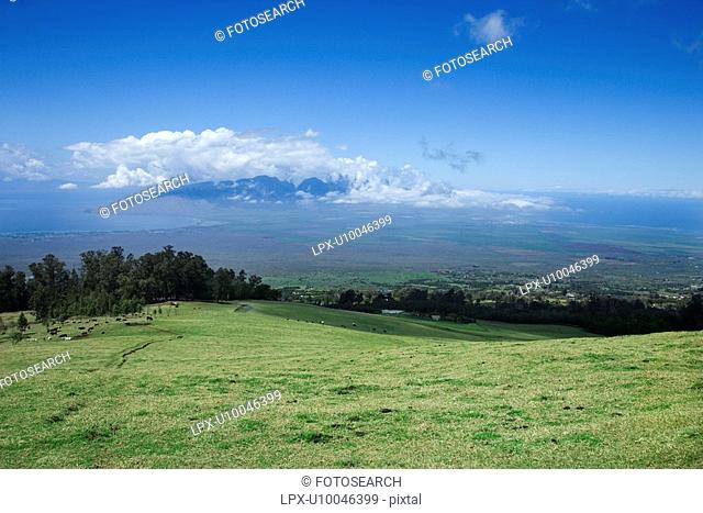 Landscape of Poli-Poli, Upcountry Maui, Hawaii, USA