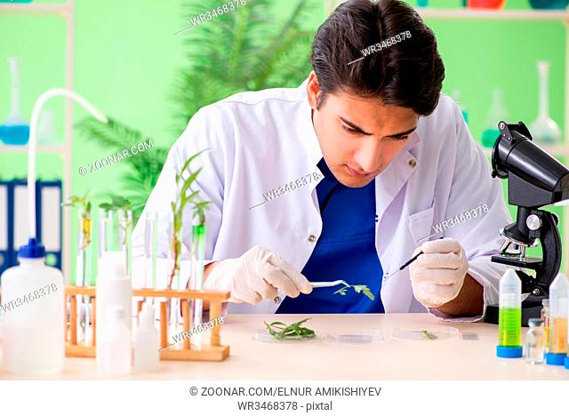 Young biotechnology scientist chemist working in lab