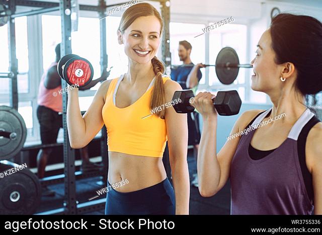 Two women doing fitness training together in the gym with dumbbells
