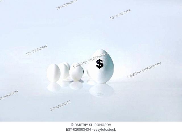 Egg with dollar symbol