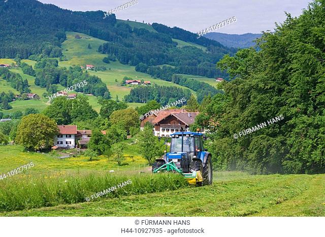 Bavaria, Europe, Upper Bavaria, Berchtesgaden, Berchtesgaden area, Rupertiwinkel, Rupertiwinkl, meadow, farm, agriculture, rural, farming, spring, moulders