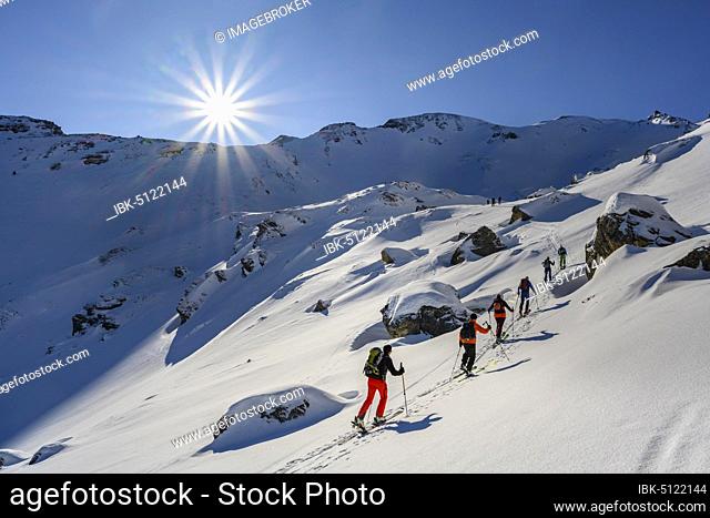 Ski tourers in winter, sunshine and blue sky, ascent to the Geierspitze, Wattentaler Lizum, Tux Alps, Tyrol, Austria, Europe