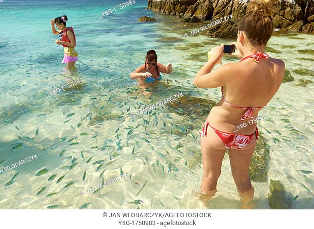 Thailand - Khai Island, Phang Nga Bay, turists feeding fish in the turquoise water at the shore
