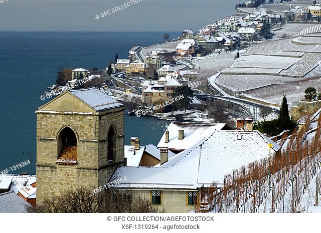 Onset of winter in the UNESCO World Heritage site Lavaux at Lake Geneva, Lac Leman, between the municipalities of Saint-Saphorin and Rivaz