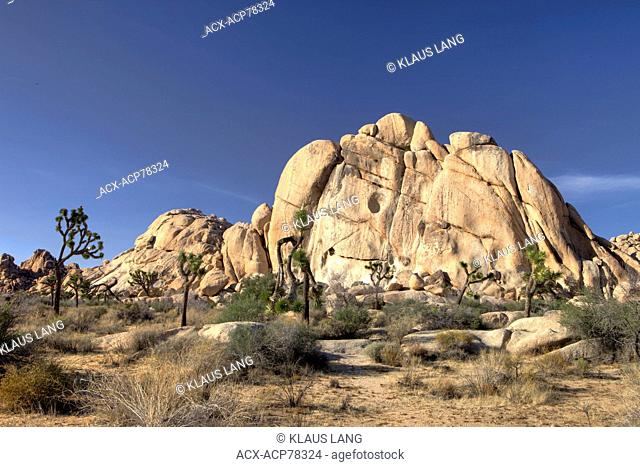 Rock Formations, Joshua Tree National Park, Calif. USA