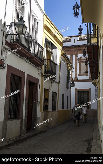 """ TYPICAL STREET RIVERA WALK AND HORSE FOAL OF CORDOBA"" CORDOBA CITY SOME PLACES AND PEOPLE SPAIN