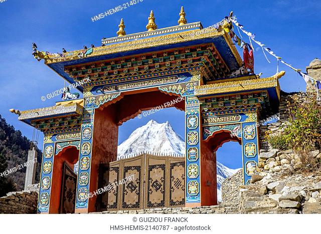 Nepal, Gandaki zone, Manaslu Circuit, between Prok and Lho, the Mount Manaslu (alt.8156m) from the village of Lho (alt.3180m) and Ribung Gompa monastery