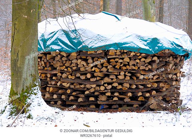 Holz im Winterwald mit Schnee, Langholzstämme aus Buche mit Schnee
