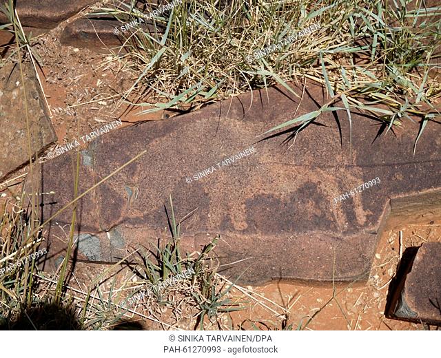 A rock painting of an antelope, by the San people, in Wildebeest Kuil near Kimberley, South Africa, pictured 3 February 2015