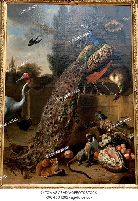 Peacocks, 1683, by Melchior d'Hondecoeter Dutch, 1636-1695, Oil on canvas, 74 7/8 x 53 in  190 2 x 134 6 cm, Metropolitan Museum of Art, New York City