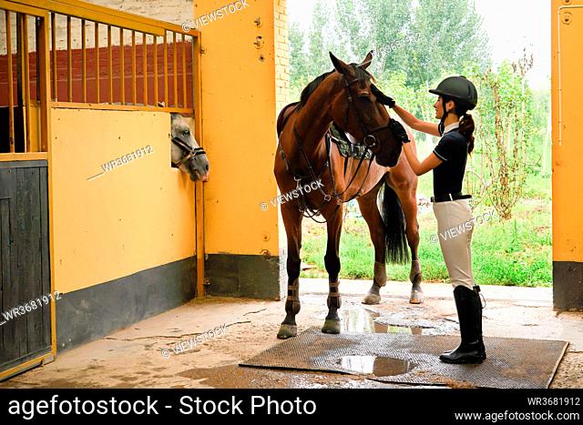 Young women stroked the horse stables door