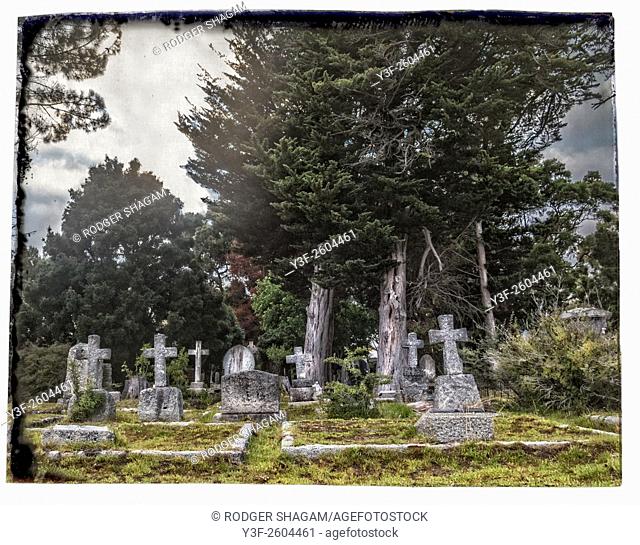 Cemetery under pine trees. With border. Constantia, Cape Town, South Africa