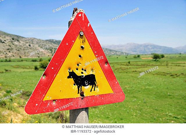 Traffic sign with bullet holes on the Lassithi Plateau, Eastern Crete, Crete, Greece, Europe