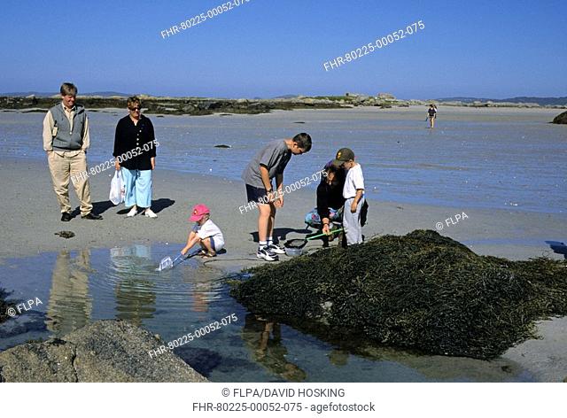 Rock Pools - Searching Rock Pools for marine life - County Galway, Ireland