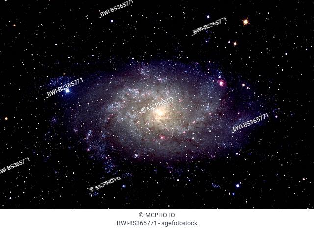 Triangulum Galaxy, Messier 33 (M33), the great galaxy in the constellation of Triangulum