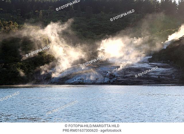 Orakei Korako, highly active geothermal area, Taupo Volcanic Zone, North Island, New Zealand / Orakei Korako, Geothermisches Gebiet, Taupo Volcanic Zone
