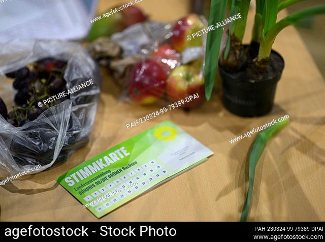 24 March 2023, Saxony, Bautzen: A voting card lies on a table next to fruit and a potted plant at the state party conference of the Greens in Saxony at the...