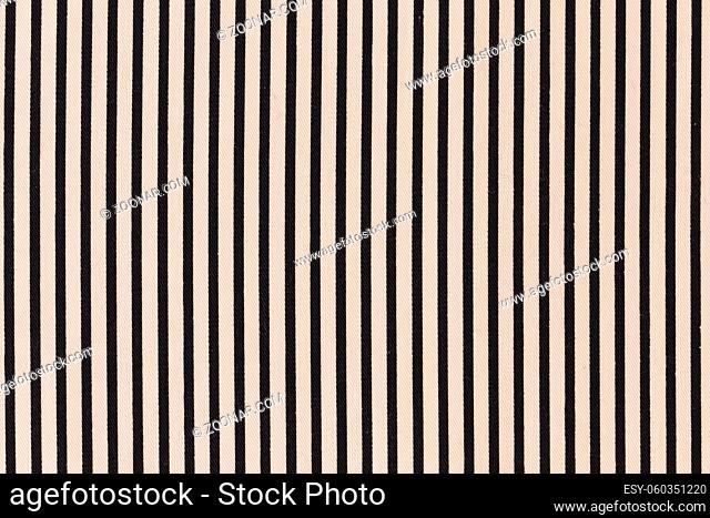black striped pattern cream background