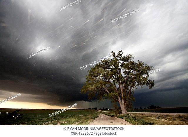 A lone tree stands against a thunderstorm on the rural Nebraska prairie near Scottsbluff, Nebraska, USA, June 7, 2010