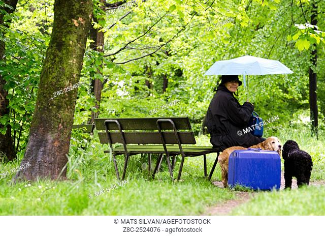 Woman with a blue umbrella sitting on a wet bench in the green forest with grass and two cocker spaniel dogs with her suitcase in Locarno, Switzerland