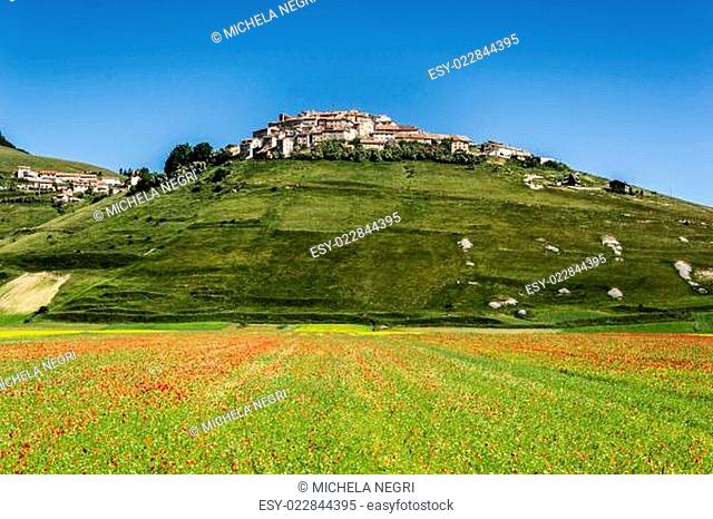 Castelluccio of Norcia - Umbria - Italy