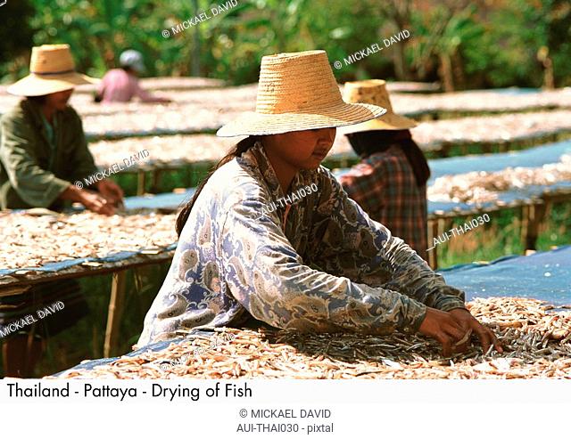 Thailand - Pattaya - Fish drying