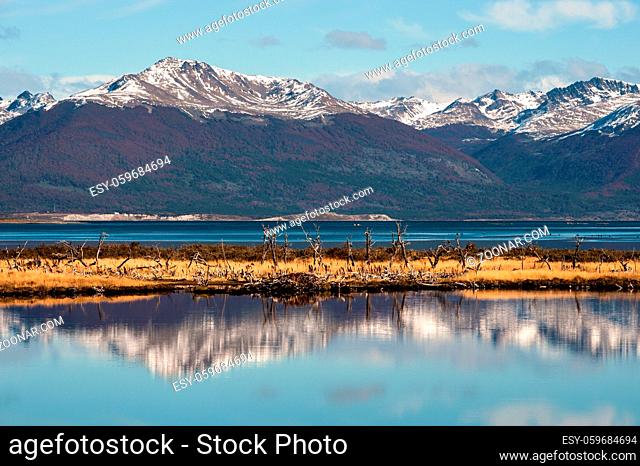 Autumn in Patagonia. Tierra del Fuego, Beagle Channel and Chilean territory, view from the Argentina side