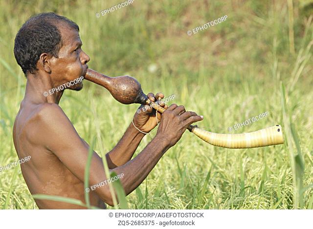 Side view of a Warli man playing the 'Tarpa' (The Musical instrument ) in the fields to prevent birds from eating crops