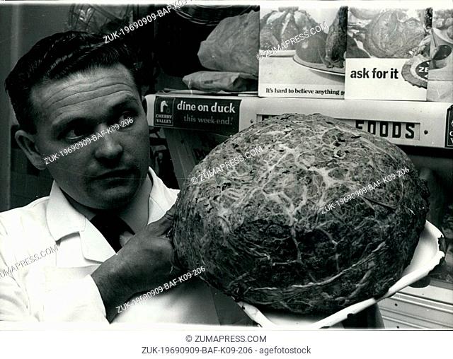Sep. 09, 1969 - One large meat ball. This must surely be the world's largest faggot ( a faggot is a meat ball, of the dumpling family