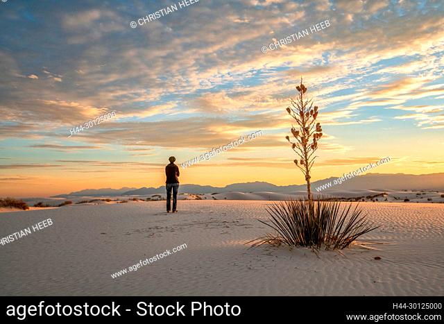 USA, Southwest, New Mexico, Alamogordo, White Sands National Park