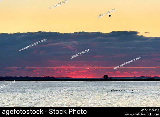 Morning sky over Barther Bodden near Zingst, Baltic Sea, Germany, Mecklenburg-Western Pomerania, National Park Vorpommersche Boddenlandschaft