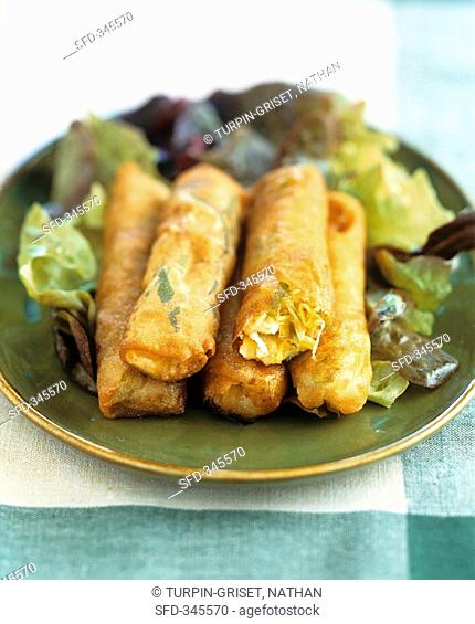Yufka pastry rolls with cheese filling