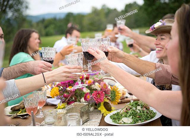 Family and friends making a toast at outdoor meal