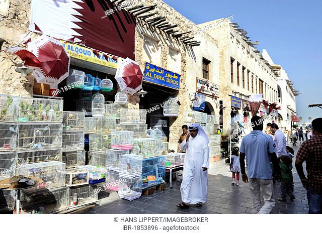 Animal market in Souq al Waqif, the oldest souq or bazaar in the country, Doha, Qatar, Arabian Peninsula, Persian Gulf, Middle East, Asia