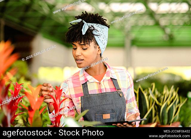 Gardener wearing bandana observing plants at nursery