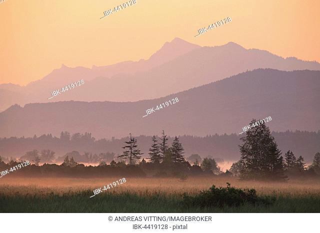 Morning atmosphere, ground fog, sunrise, Murnauer Moos, Murnau, Bavaria, Germany