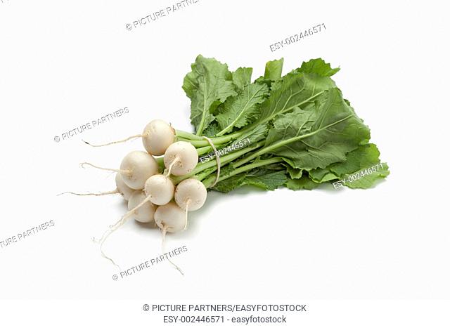 Mini white turnips on white background