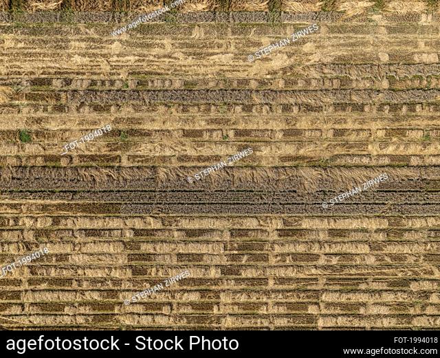 Aerial drone POV brown textured hay crops