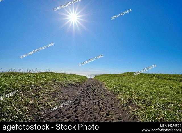 Footpath, Black, Beach, Dune, Sea, Sun, Summer, Porklakshofn, Sudurland, SuÃ°urnes, Iceland