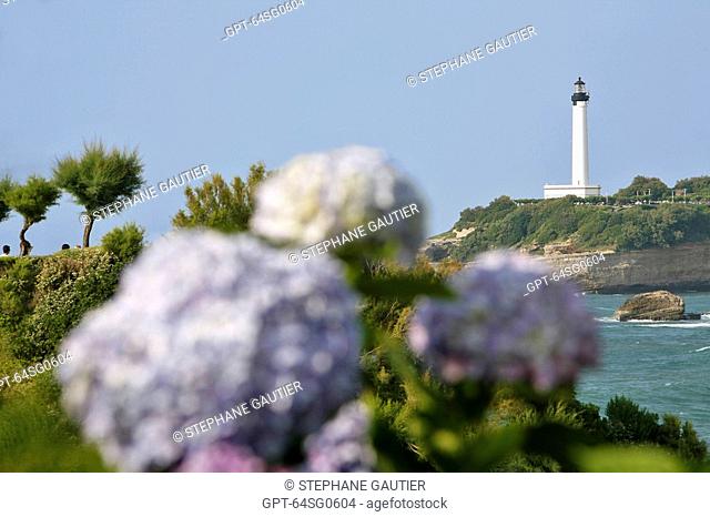 LIGHTHOUSE AND HYDRANGEA ON THE OCEANFRONT, BIARRITZ, BASQUE COUNTRY, BASQUE COAST