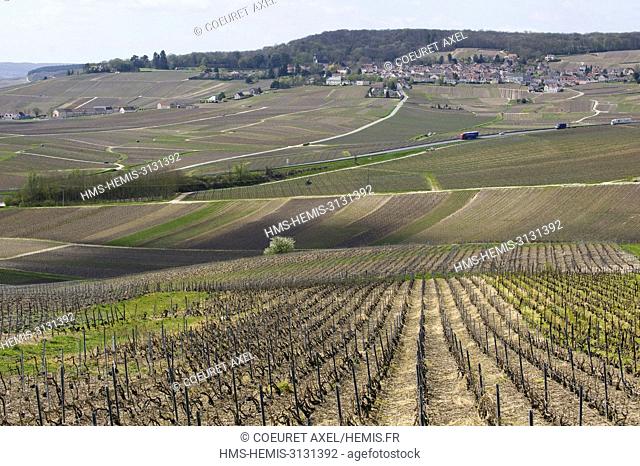 France, Marne, Hautvillers, winter wineyards close to Epernay with the village Hautvillers at the background