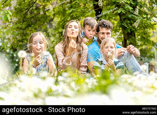 Family of five sitting on a meadow blowing dandelion flowers being happy and playful