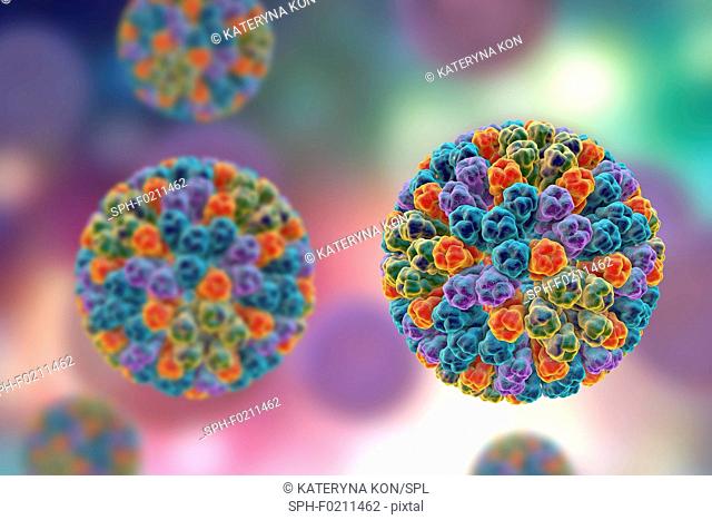 Rotavirus particle, illustration