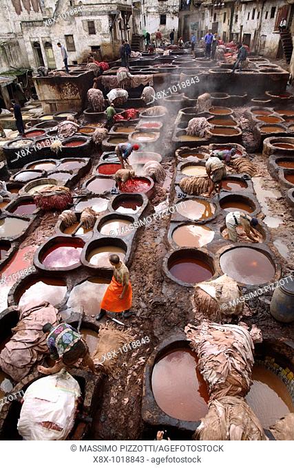 Basins of paint in the Fes tanneries, Fes, Morocco