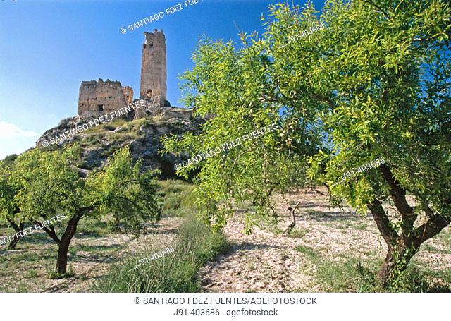 Spain. Comunidad Valenciana. Alicante Province. Cocentaina. Penella castle (12th Century). Arabic