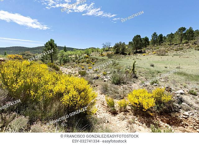 Landscape in Cañadas de Haches de Arriba, Bogarra province of Albacete in Spain