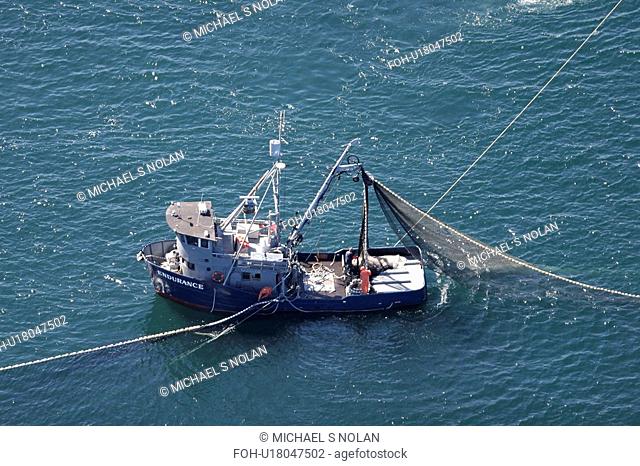 Aerial view of the purse-seiner fishery for salmon off Point Augustus, Chichagof Island, Southeast Alaska, USA. Closing the purse