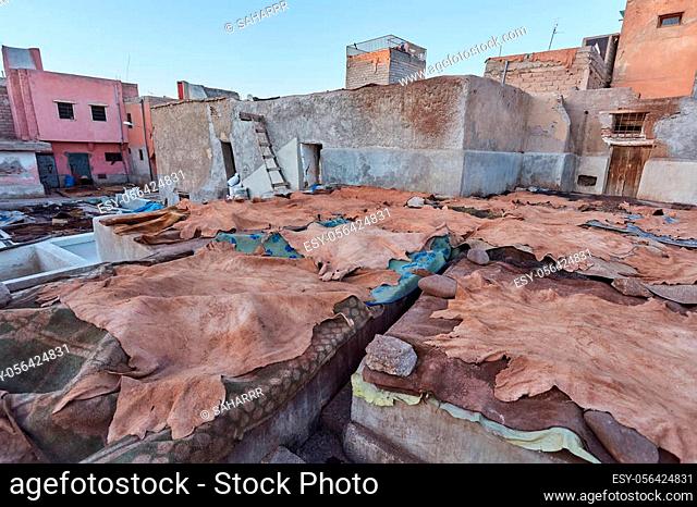 Tanners working leather in the old tannery Morocco
